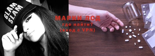 прущие грибы Баксан