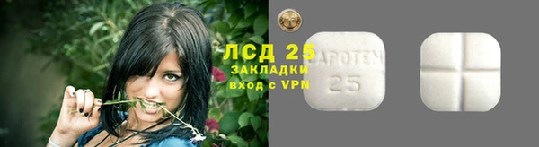 прущие грибы Баксан