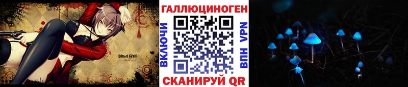 Галлюциногенные грибы Psilocybe  Кяхта 