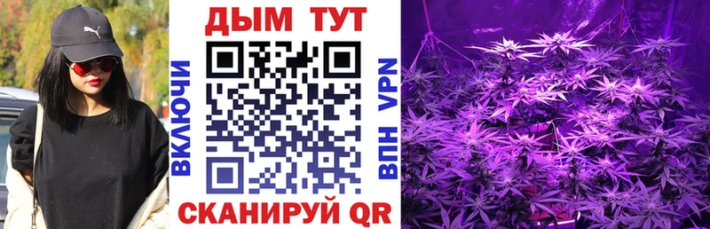 даркнет сайт  Кяхта  Бошки марихуана Bruce Banner 